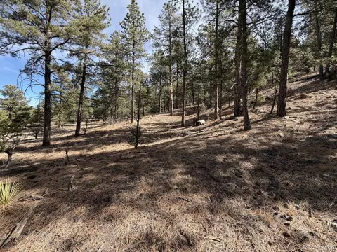 262 Harmon Dr, Cotopaxi, CO 81223 photo 26