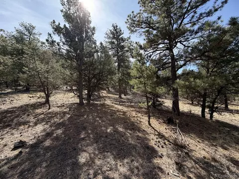 262 Harmon Dr, Cotopaxi, CO 81223 photo 10