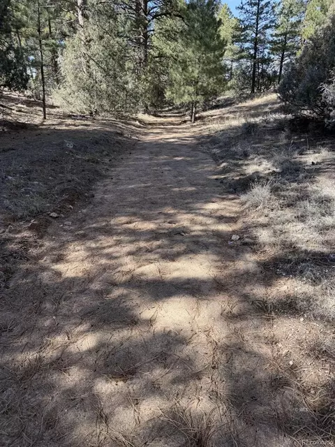 262 Harmon Dr, Cotopaxi, CO 81223 photo 4