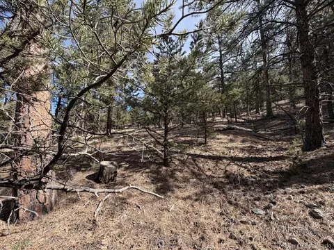 262 Harmon Dr, Cotopaxi, CO 81223 photo 23
