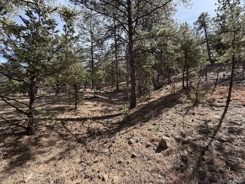 262 Harmon Dr, Cotopaxi, CO 81223 photo 20