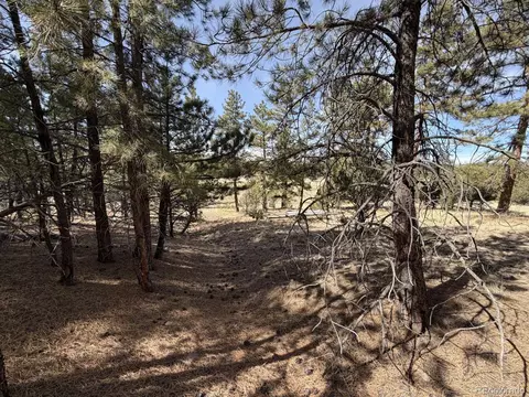 262 Harmon Dr, Cotopaxi, CO 81223 photo 22