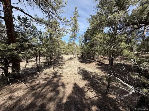 262 Harmon Dr, Cotopaxi, CO 81223 photo 6