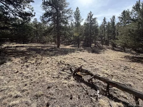 262 Harmon Dr, Cotopaxi, CO 81223 photo 11