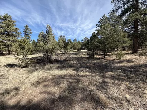 262 Harmon Dr, Cotopaxi, CO 81223 photo 2