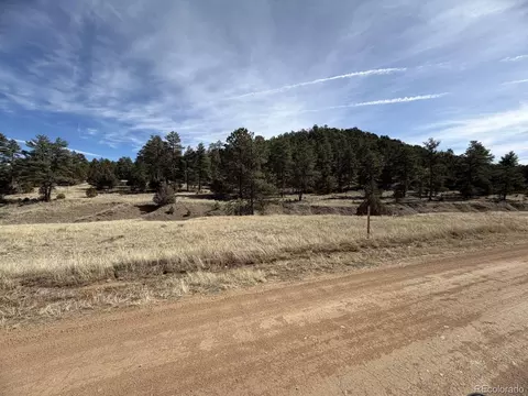 262 Harmon Dr, Cotopaxi, CO 81223 photo 31