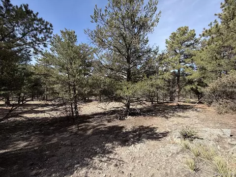 262 Harmon Dr, Cotopaxi, CO 81223 photo 3