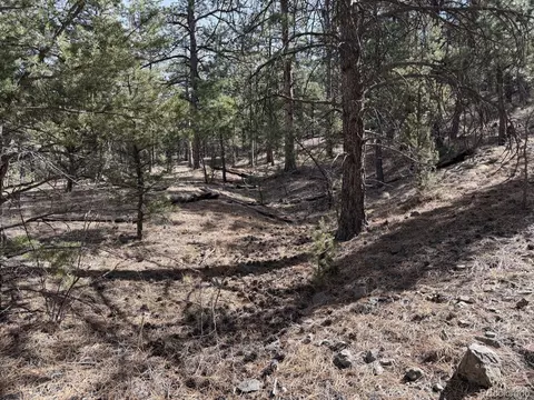 262 Harmon Dr, Cotopaxi, CO 81223 photo 18