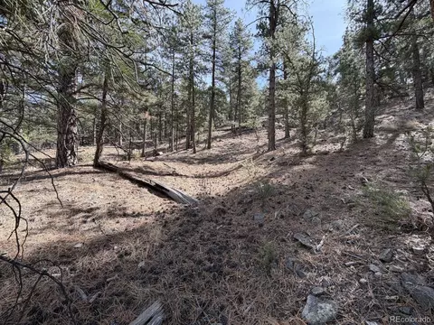 262 Harmon Dr, Cotopaxi, CO 81223 photo 24