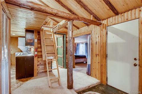 34247 Springdale Dr, Pine, CO 80470 photo 18