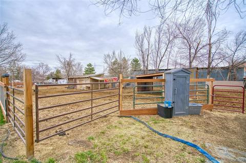 6520 Kyle Ave, Fort Collins, CO 80525 photo 19