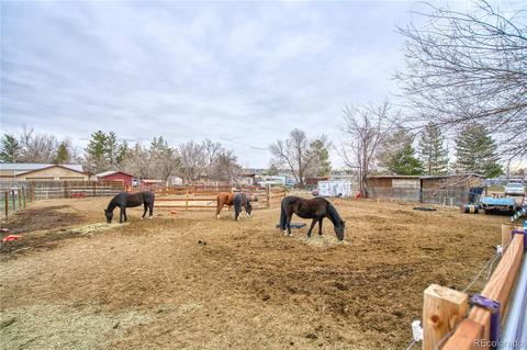 6520 Kyle Ave, Fort Collins, CO 80525 photo 18