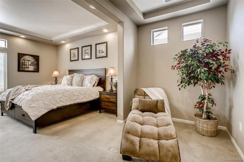 20696 E 55th Ave, Denver, CO 80249 photo 16
