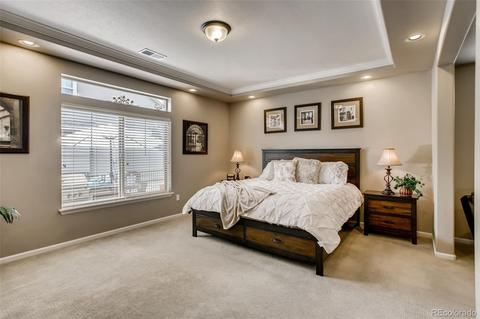 20696 E 55th Ave, Denver, CO 80249 photo 14