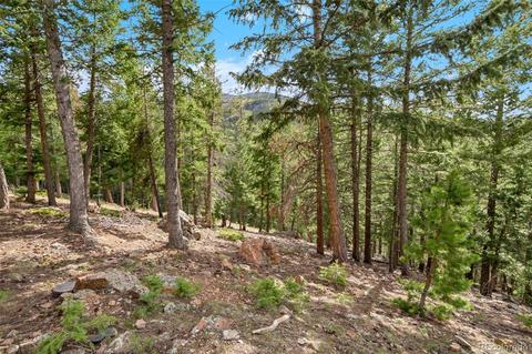 9055 Jill Dr, Conifer, CO 80433 photo 32