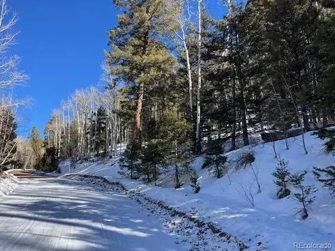 lot5339 Howard Rd, Fort Garland, CO 81133