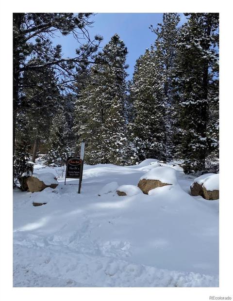 188 Ranch Rd, Ward, CO 80481 photo 1