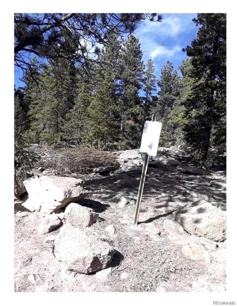 188 Ranch Rd, Ward, CO 80481 photo 3