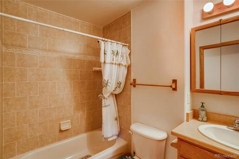 411 Houston St, Bailey, CO 80421 photo 10