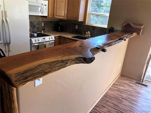 411 Houston St, Bailey, CO 80421 photo 4