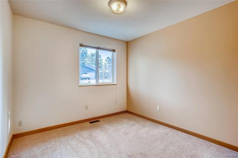 411 Houston St, Bailey, CO 80421 photo 9