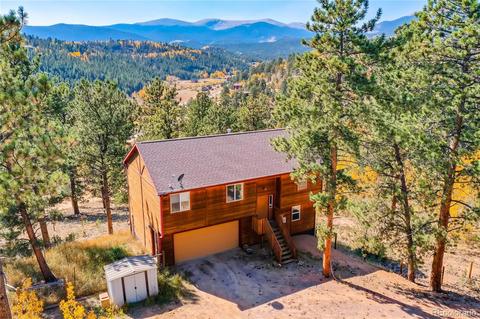 411 Houston St, Bailey, CO 80421 photo 13