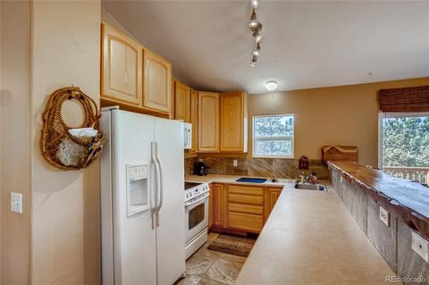 411 Houston St, Bailey, CO 80421 photo 3