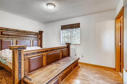 411 Houston St, Bailey, CO 80421 photo 6