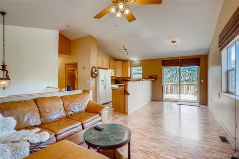 411 Houston St, Bailey, CO 80421 photo 2