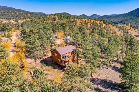 411 Houston St, Bailey, CO 80421 photo 17