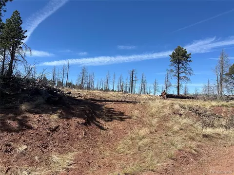 lot542 Forbes Park, Fort Garland, CO 81133