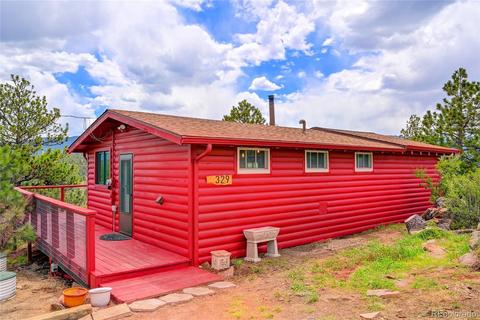 329 Overlook Dr, Bailey, CO 80421 photo 1