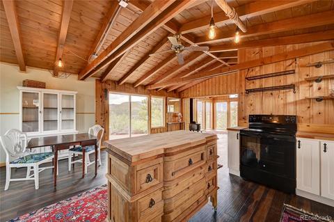 329 Overlook Dr, Bailey, CO 80421 photo 5