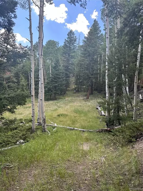 Calkins Street, Jasper, CO 81132