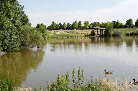 View/Area - 22331 E 46th Ave, Aurora, CO 80019 photo 13 of 17