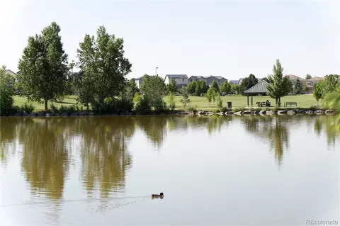 View/Area - 22331 E 46th Ave, Aurora, CO 80019 photo 8 of 17
