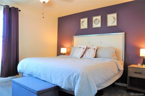 19060 E 55th Ave, Denver, CO 80249 photo 16