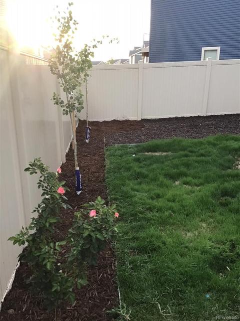 19060 E 55th Ave, Denver, CO 80249 photo 30