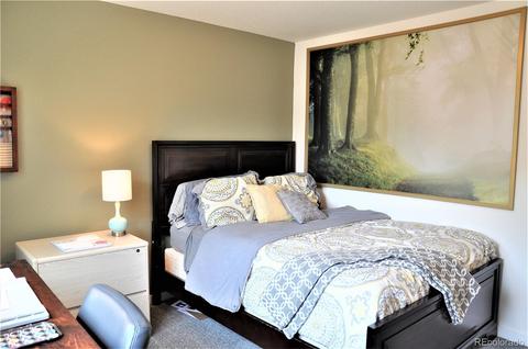 19060 E 55th Ave, Denver, CO 80249 photo 22