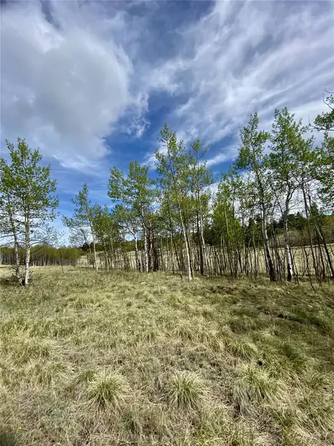 2757 Warrior Cir, Como, CO 80432 photo 30
