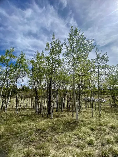 2757 Warrior Cir, Como, CO 80432 photo 20