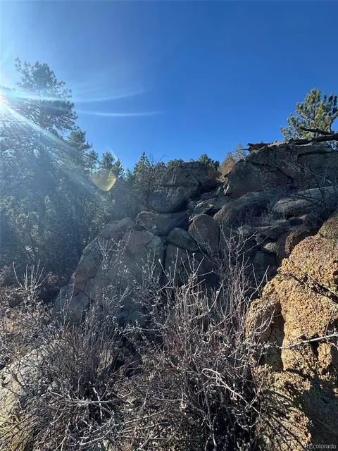 Tr-1 G Path, Cotopaxi, CO 81223 photo 4