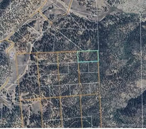 Tr-1 G Path, Cotopaxi, CO 81223 photo 6