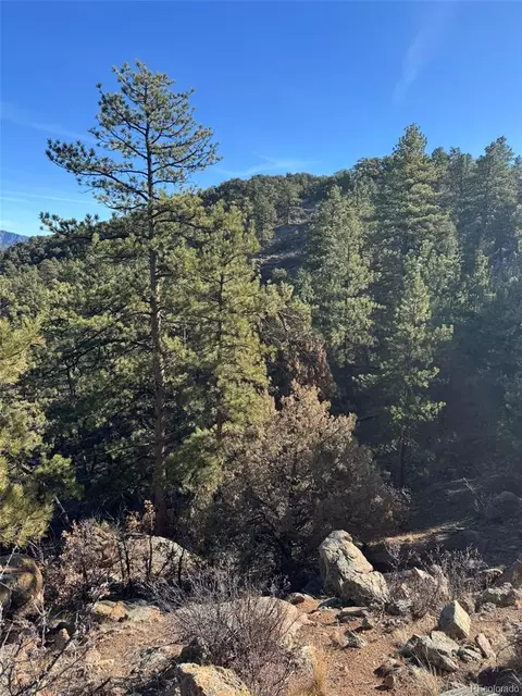 Tr-1 G Path, Cotopaxi, CO 81223 photo 2
