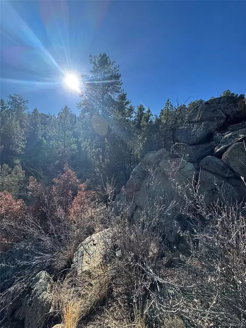 Tr-1 G Path, Cotopaxi, CO 81223 photo 5