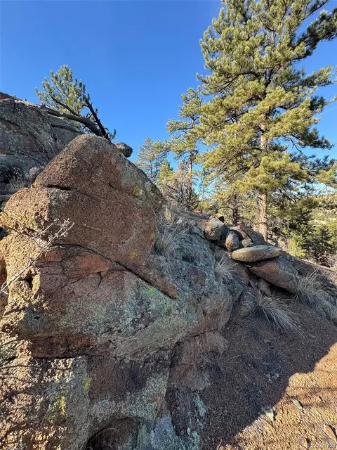 Tr-1 G Path, Cotopaxi, CO 81223 photo 3