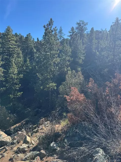 Tr-1 G Path, Cotopaxi, CO 81223