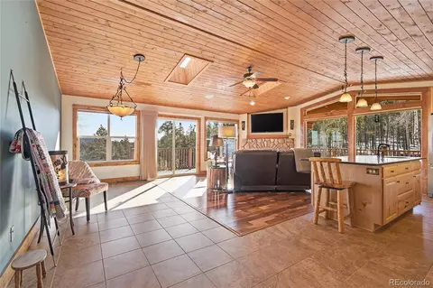 Other - 8790 S Warhawk Rd, Conifer, CO 80433 photo 2 of 15
