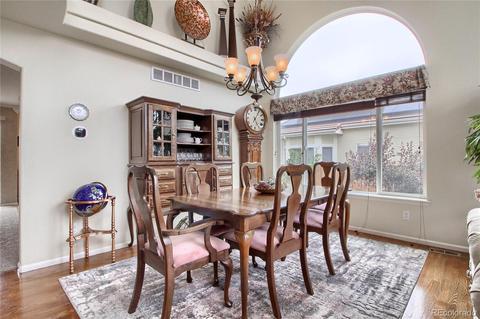 20250 E 47th Pl, Denver, CO 80249 photo 16