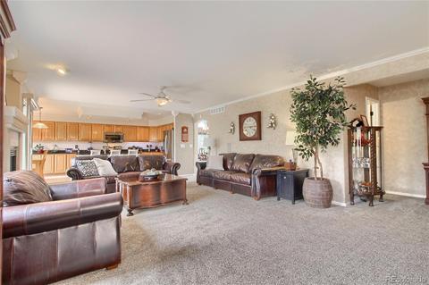 20250 E 47th Pl, Denver, CO 80249 photo 4
